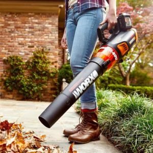 Worx Leaf Blowers