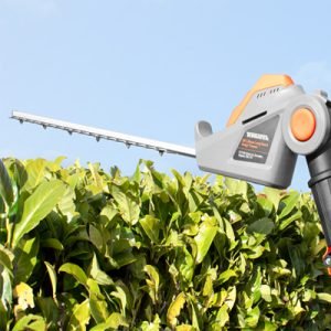 Terratek Cordless Hedge Trimmers