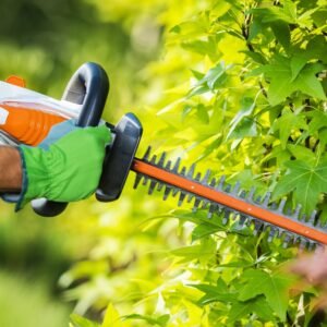 Garden Trimmers for Neat Lawns, Borders & Garden Edges