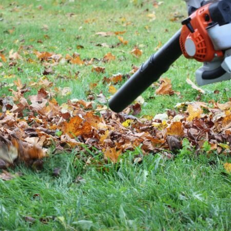 Leaf Blower